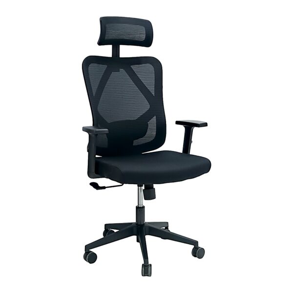 SBF Ergonomic Mesh Office Chair - Adjustable Headrest and Armrests, Tilt Backrest, Lumbar Support, Fabric Seat, Swivel Manager Chair, Black